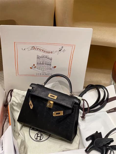 hermes 3 99